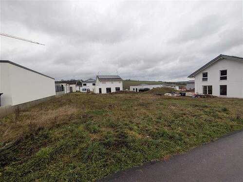 Ansicht 4 - Grundstück zum Kaufen in Welschbillig