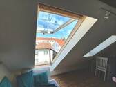 DG Dachflächenfenster (Türe) - 