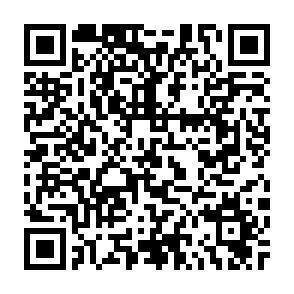 QR-Code - 
