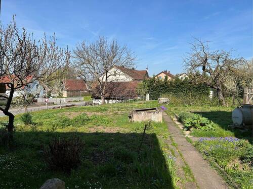 Gartenbereich - 