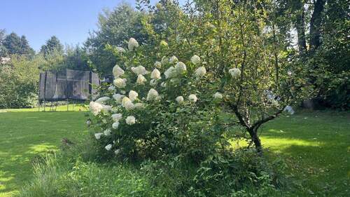 Gartenimpressionen - 