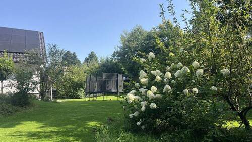 Gartenimpressionen - 