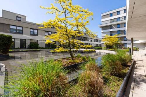 Innenhof/Garten Ansicht II - 