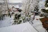 Gartenblick Winter - 