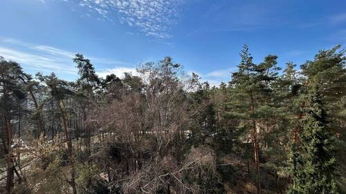 Ausblick - 