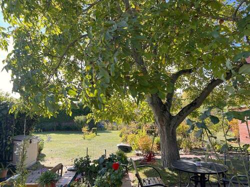 Terrassenausblick - 