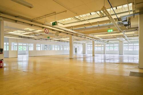 Vielfältige Produktionshalle mit Büros - Büro in Frickenhausen zur Miete