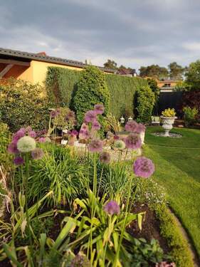 Garten - Einfamilienhaus mit 140,00 m&sup2; in Cottbus zum Kaufen