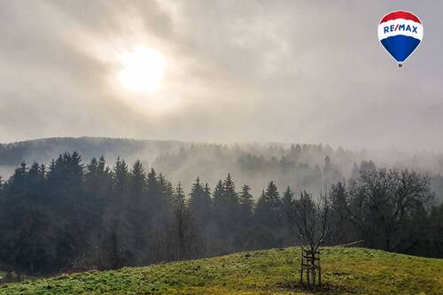 Titelbild - Traum vom eigenen Pferdehof - Wohnen in ländlicher Idylle in Bonndorf-Brunnadern