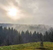Traum vom eigenen Pferdehof - Wohnen in ländlicher Idylle in Bonndorf-Brunnadern