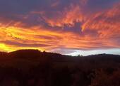 BN_Bilder-Web27 - 