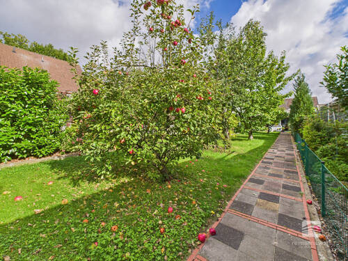 Garten - 