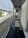 IMG_6157 - 