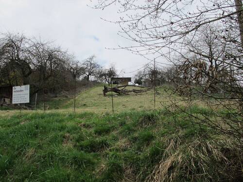 Freizeit - Hobby - Im Bußbachtal von Rohracker.JPG - 