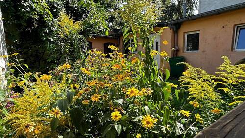 Gartenanlage Innenhof - 6 Zimmer Mehrfamilienhaus, Wohnhaus zum Kaufen in Brandenburg an der Havel