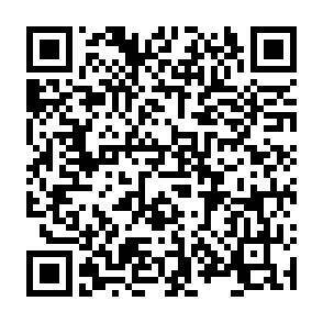 QR-Code - 
