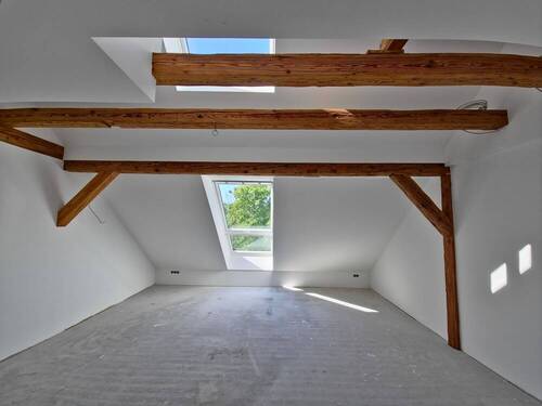 Zimmer DG - 