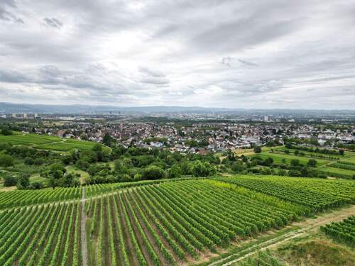 Lage im Dreiländereck D-CH-F - 