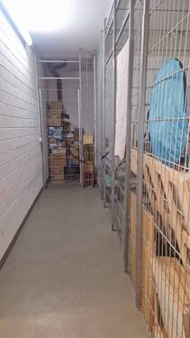 Keller - Mehrfamilienhaus, Wohnhaus in Dresden zum Kaufen