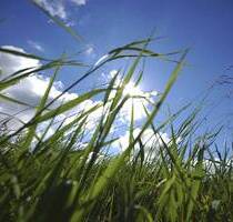 AIGNER - Attraktives Grundstück in Feldafing für EFHZFH, auch Nachbargrundstück verfügbar