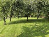Bild 11 - 