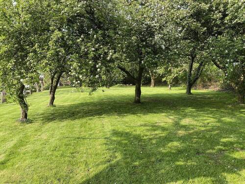 Bild 11 - 