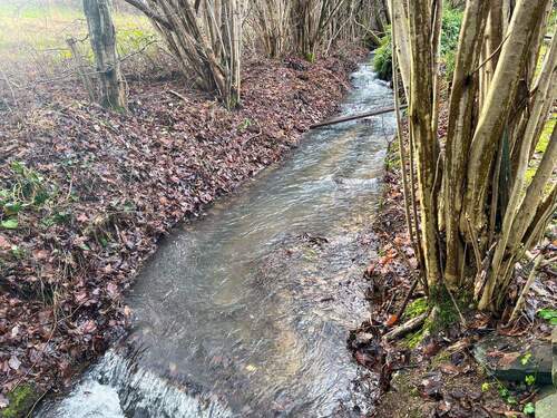 Bachlauf hinterm Haus - 