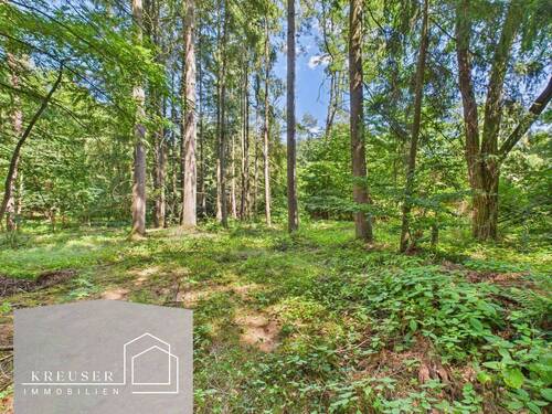 Bild 1 - Wochenendgrundstück in traumhafter Lage - Verstecktes Paradies für Ruhesuchende!