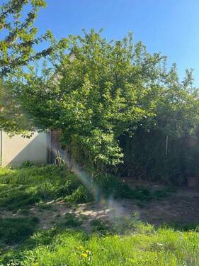Bild 14 - 