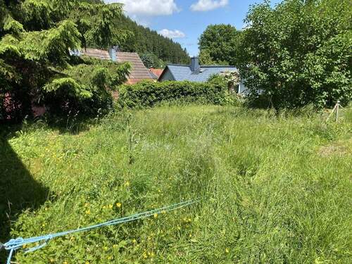 Grundstück Westseite - 5 Zimmer Doppelhaushälfte in Luisenthal