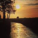 Heringskooper Strom (Grenze) - 