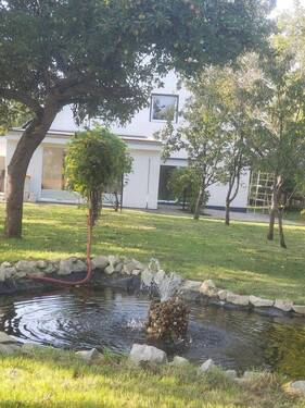 Garten mit Teich und Weinreben - Einfamilienhaus mit 243,00 m&sup2; in Nordleda zum Kaufen