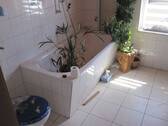 IMG_7337.JPG - 