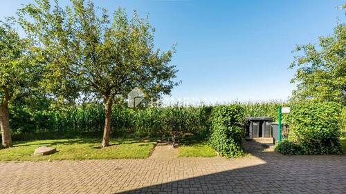 Ausblick - 