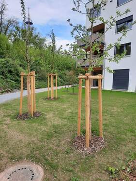 20230427_102659.jpg - 