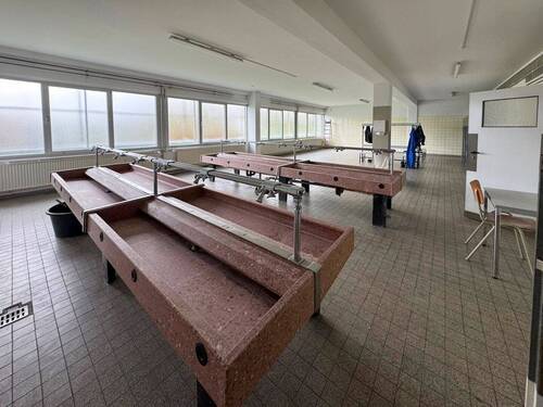 Halle 1 - UG: Waschbereich - 