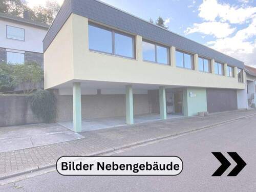 Bilder Nebengebäude - 1 Zimmer Einfamilienhaus zum Kaufen in Merzig