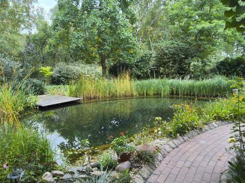 Schwimmteich - 