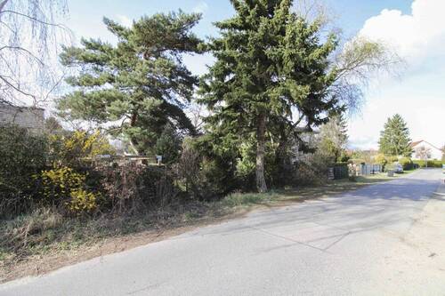 Straße beim Grundstück - 