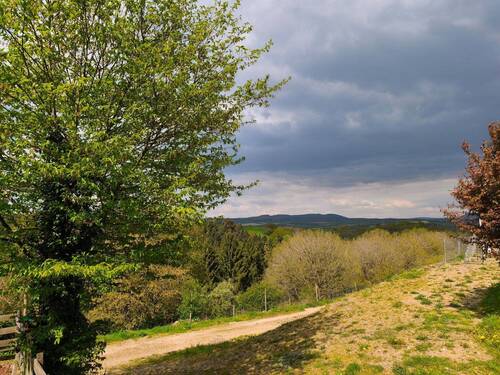 IMG_20260421_152144.jpg - 