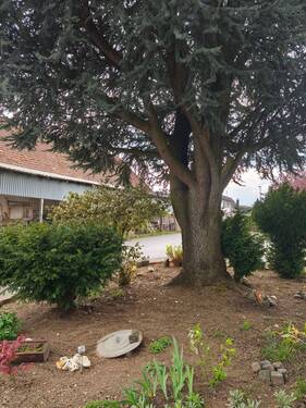 IMG_20260421_153046.jpg - 