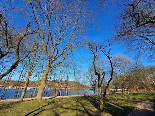 20260320_160000.jpg - 