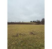 Landwirtschaftliche Nutzfläche - 80.000,00&nbsp;EUR Kaufpreis, ca.&nbsp; 0,00&nbsp;m&sup2; in Egling (PLZ: 82544) Deining