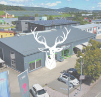 Einmalige Gelegenheit - Einzigartiges und sehr modernes Gewerbeobjekt im Lonza Areal zu vermieten - Waldshut-Tiengen