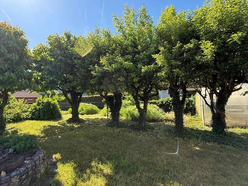 Großer Garten mit Obstbaumbestand - 