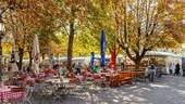 Biergarten am Viktualienmarkt - 
