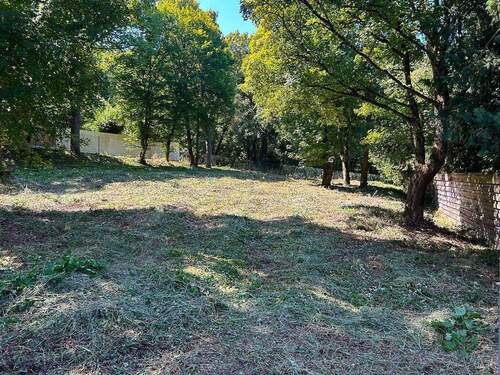 gemäht - 1.424 qm unbebautes Villengrundstück über Würzburg