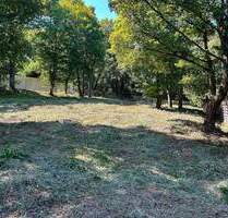 1.424 qm unbebautes Villengrundstück über Würzburg