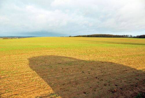 Ackerfläche - Grundstück in Zirchow