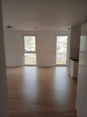 20260312_110202_resized.jpg - 